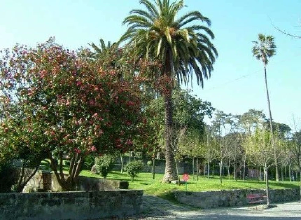 Apartamento para Venda em Paranhos Foto 10