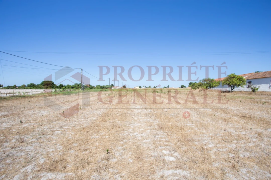 Quinta T3 para Venda em Salvaterra de Magos e Foros de Salvaterra Foto 25