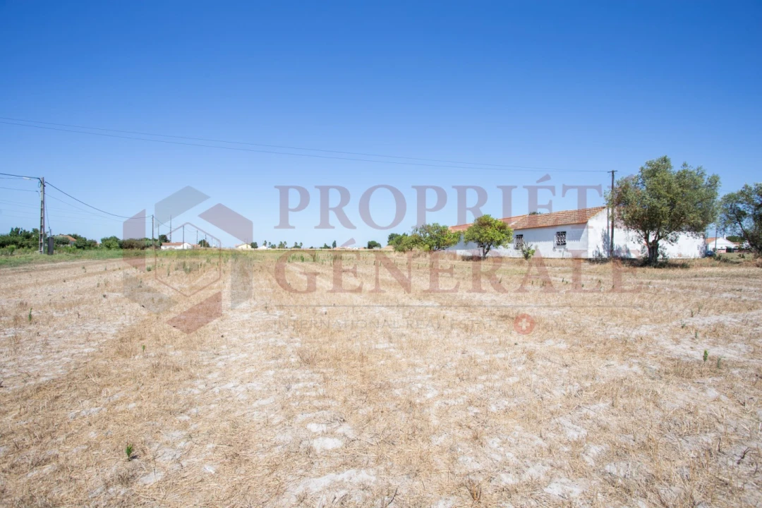 Quinta T3 para Venda em Salvaterra de Magos e Foros de Salvaterra Foto 28