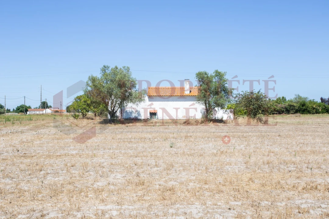 Quinta T3 para Venda em Salvaterra de Magos e Foros de Salvaterra Foto 29