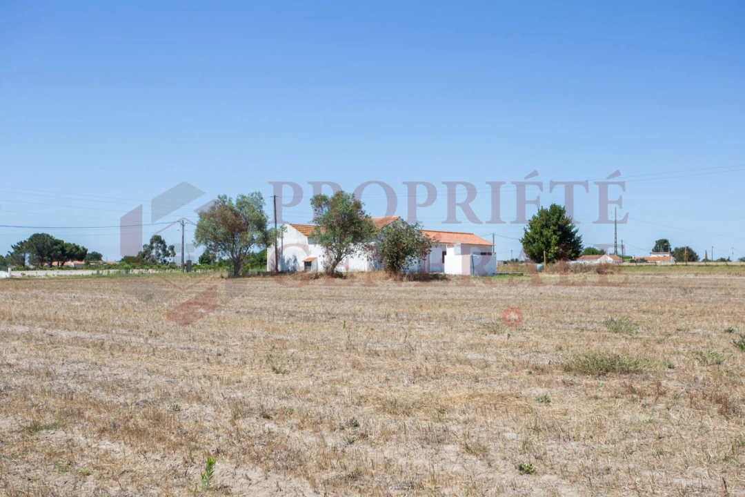 Quinta T3 para Venda em Salvaterra de Magos e Foros de Salvaterra Foto 33