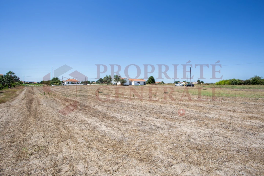 Quinta T3 para Venda em Salvaterra de Magos e Foros de Salvaterra Foto 34