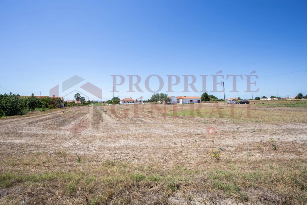 Quinta T3 para Venda em Salvaterra de Magos e Foros de Salvaterra Foto 36