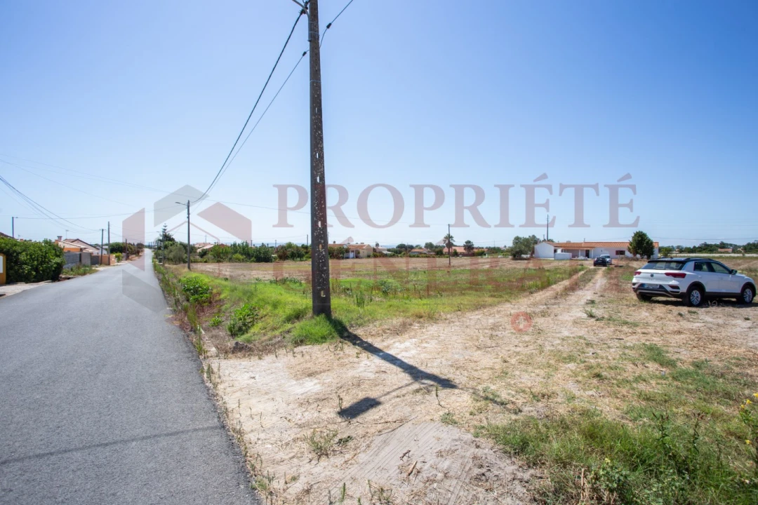 Quinta T3 para Venda em Salvaterra de Magos e Foros de Salvaterra Foto 38