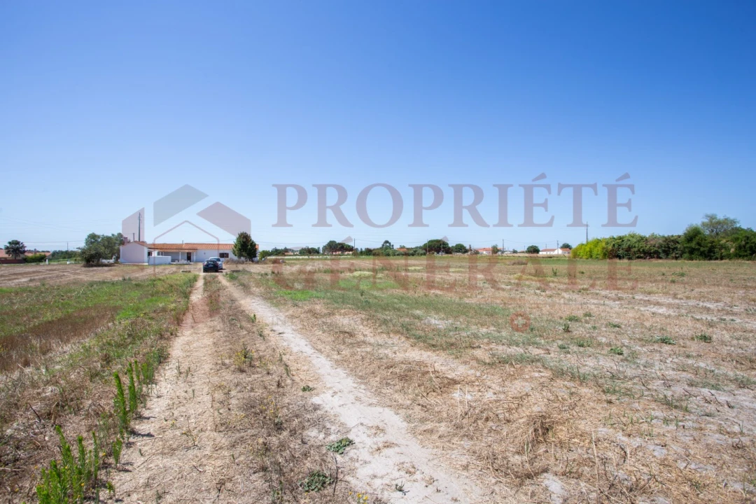 Quinta T3 para Venda em Salvaterra de Magos e Foros de Salvaterra Foto 40