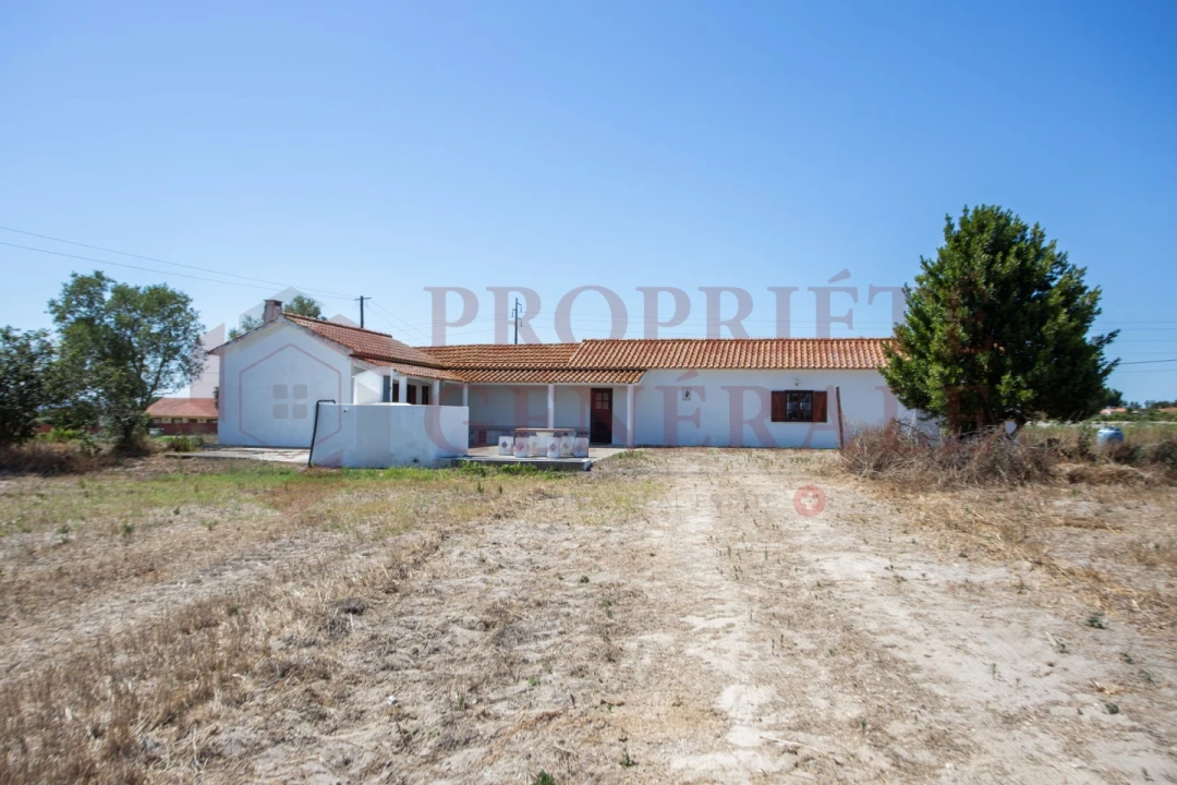 Quinta T3 para Venda em Salvaterra de Magos e Foros de Salvaterra Foto 42
