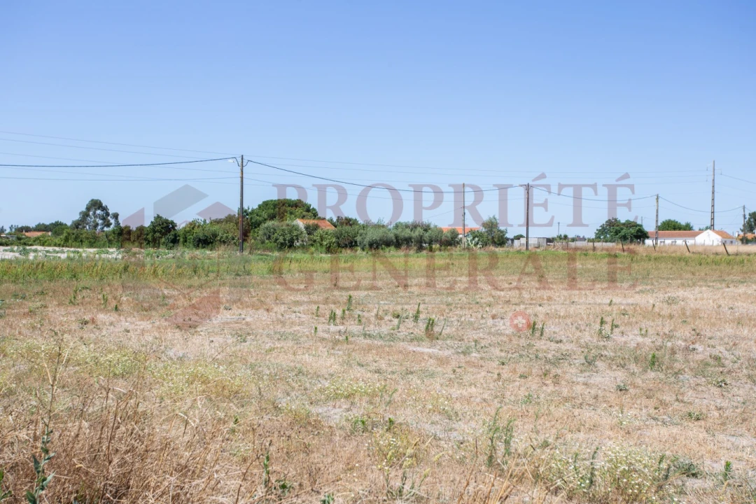 Quinta T3 para Venda em Salvaterra de Magos e Foros de Salvaterra Foto 44