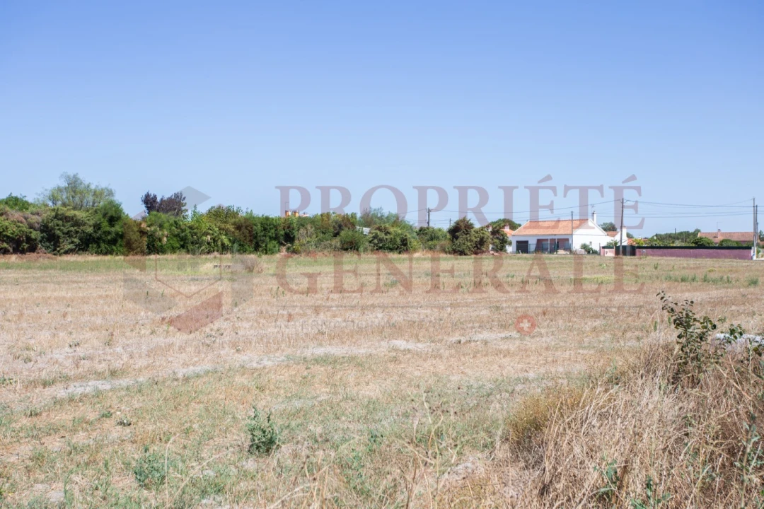 Quinta T3 para Venda em Salvaterra de Magos e Foros de Salvaterra Foto 45