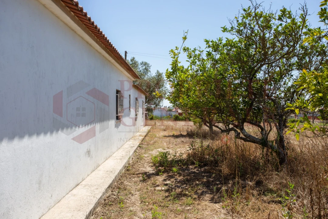 Quinta T3 para Venda em Salvaterra de Magos e Foros de Salvaterra Foto 47