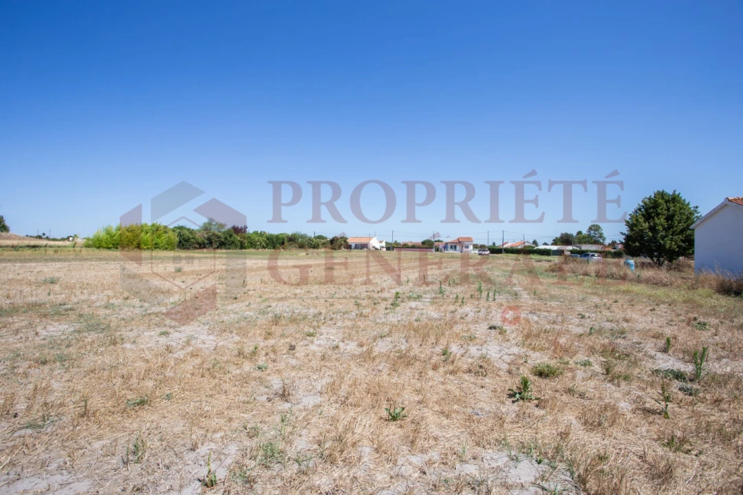 Quinta T3 para Venda em Salvaterra de Magos e Foros de Salvaterra Foto 51