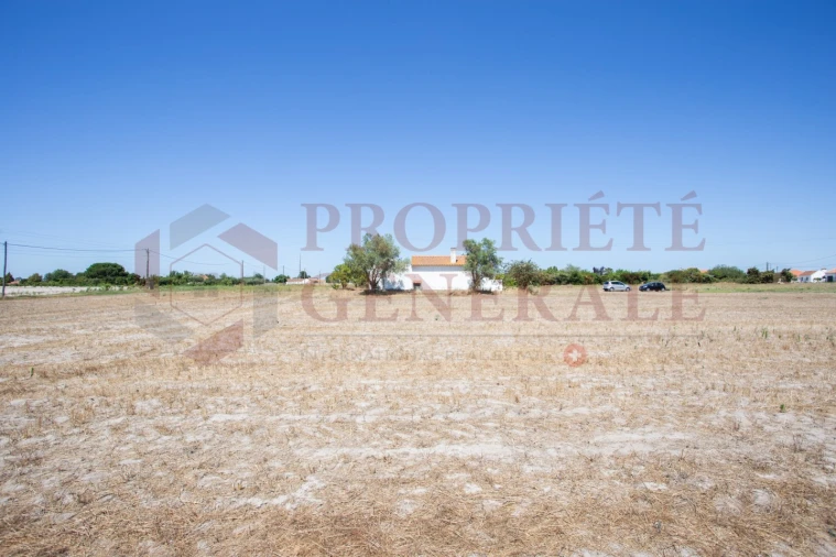 Quinta T3 para Venda em Salvaterra de Magos e Foros de Salvaterra Foto 27