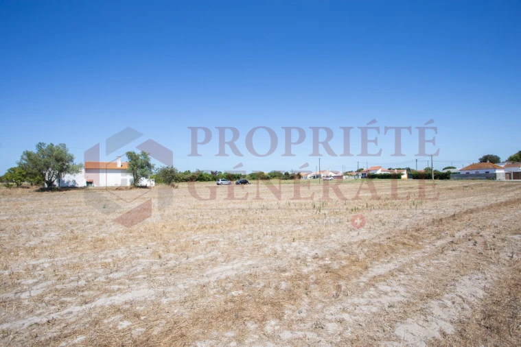 Quinta T3 para Venda em Salvaterra de Magos e Foros de Salvaterra Foto 31