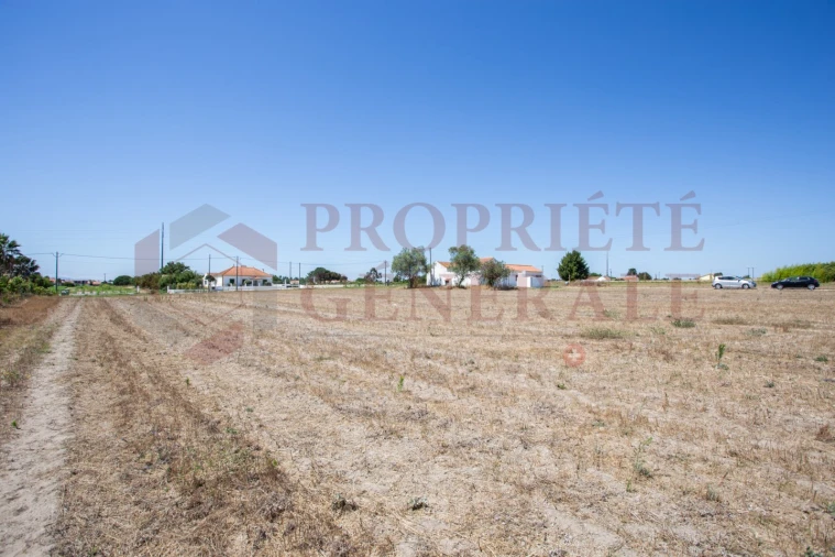 Quinta T3 para Venda em Salvaterra de Magos e Foros de Salvaterra Foto 32