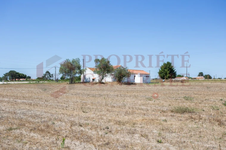 Quinta T3 para Venda em Salvaterra de Magos e Foros de Salvaterra Foto 33