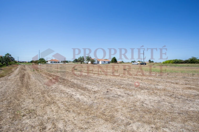 Quinta T3 para Venda em Salvaterra de Magos e Foros de Salvaterra Foto 34