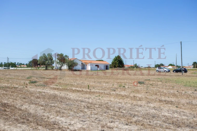 Quinta T3 para Venda em Salvaterra de Magos e Foros de Salvaterra Foto 35