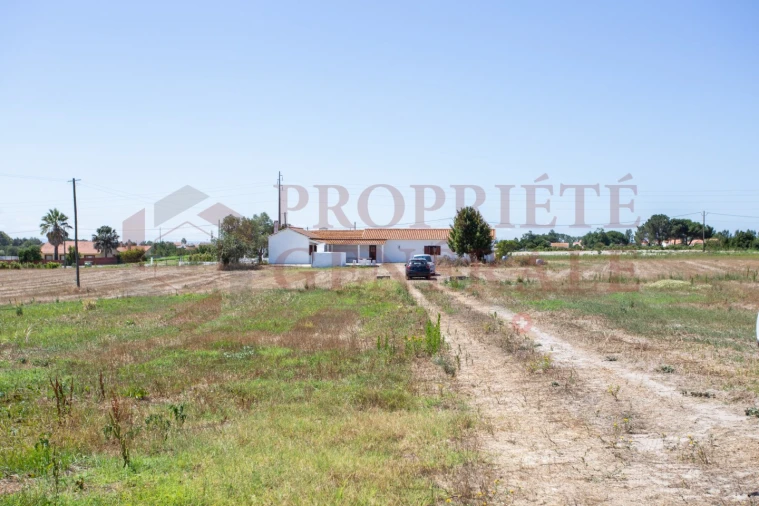 Quinta T3 para Venda em Salvaterra de Magos e Foros de Salvaterra Foto 39