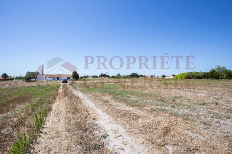 Quinta T3 para Venda em Salvaterra de Magos e Foros de Salvaterra Foto 40