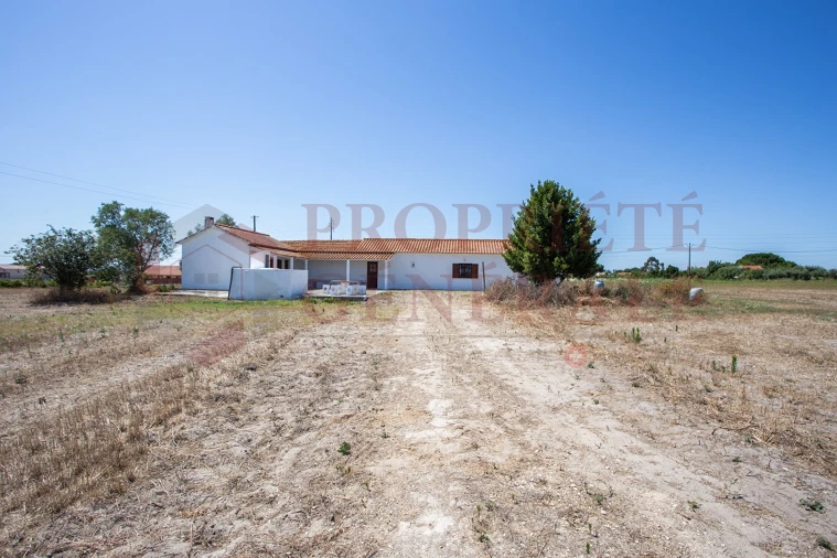 Quinta T3 para Venda em Salvaterra de Magos e Foros de Salvaterra Foto 41