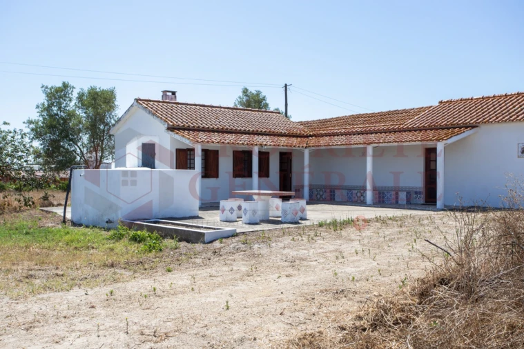 Quinta T3 para Venda em Salvaterra de Magos e Foros de Salvaterra Foto 43