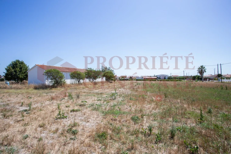 Quinta T3 para Venda em Salvaterra de Magos e Foros de Salvaterra Foto 49