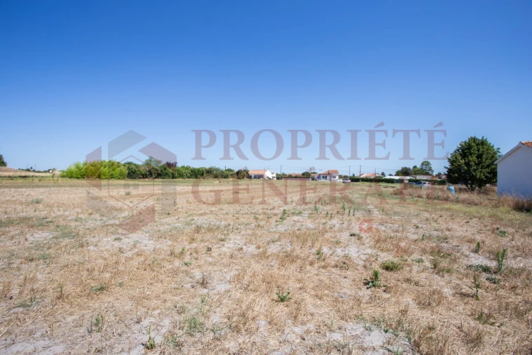 Quinta T3 para Venda em Salvaterra de Magos e Foros de Salvaterra Foto 51