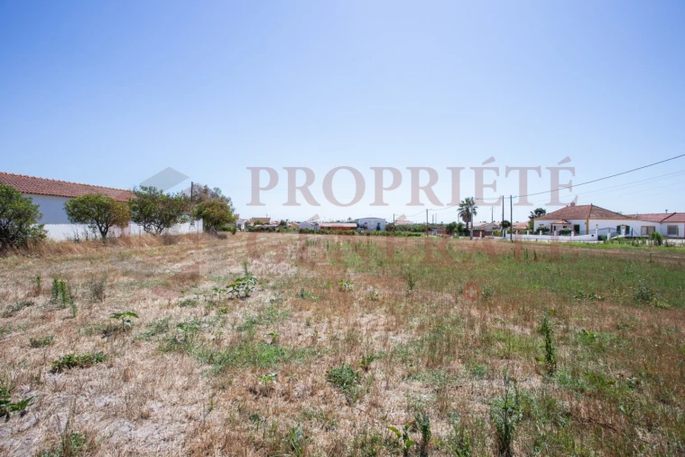 Quinta T3 para Venda em Salvaterra de Magos e Foros de Salvaterra Foto 52