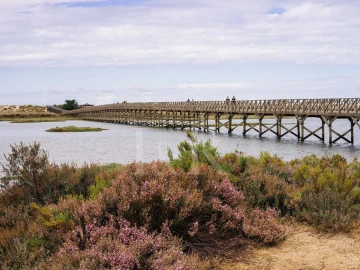 Moradia T2 para Venda em Tavira (Santa Maria e Santiago)