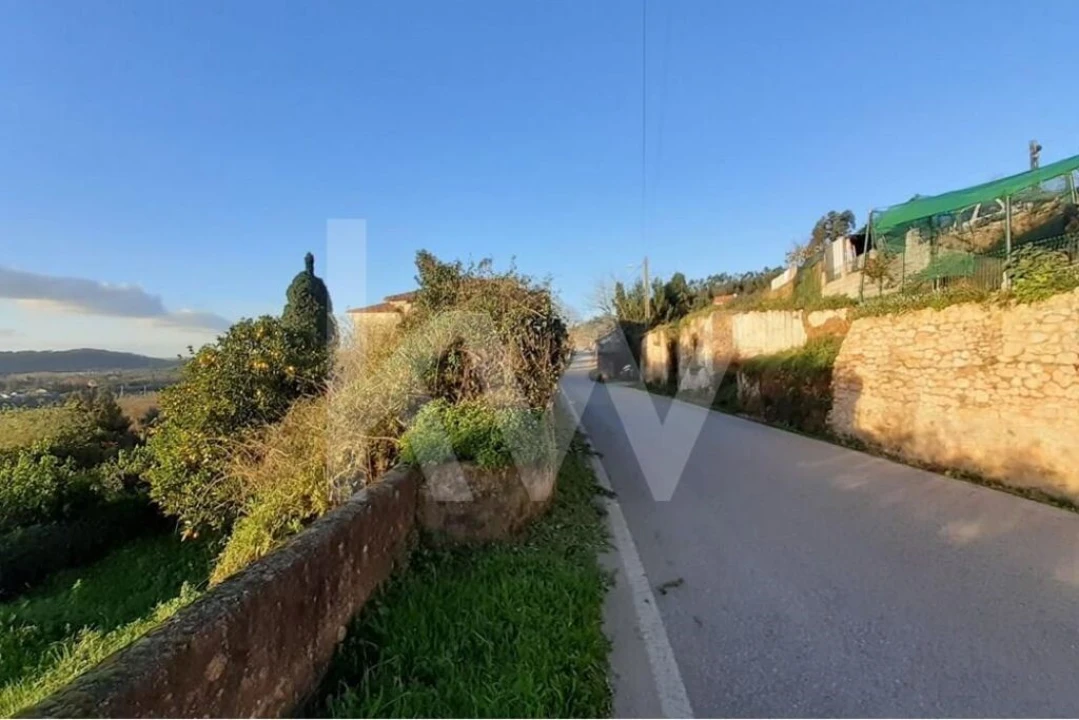 Quinta T14 para Venda em Areias e Pias Foto 2