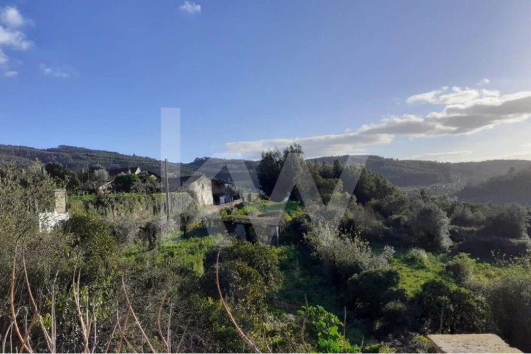 Quinta T14 para Venda em Areias e Pias Foto 8