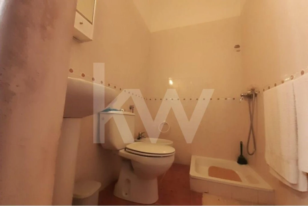 Quinta T14 para Venda em Areias e Pias Foto 19