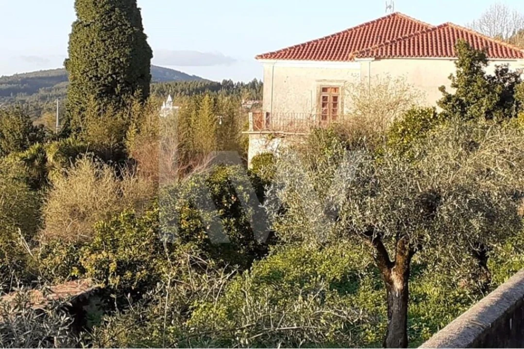 Quinta T14 para Venda em Areias e Pias Foto 35