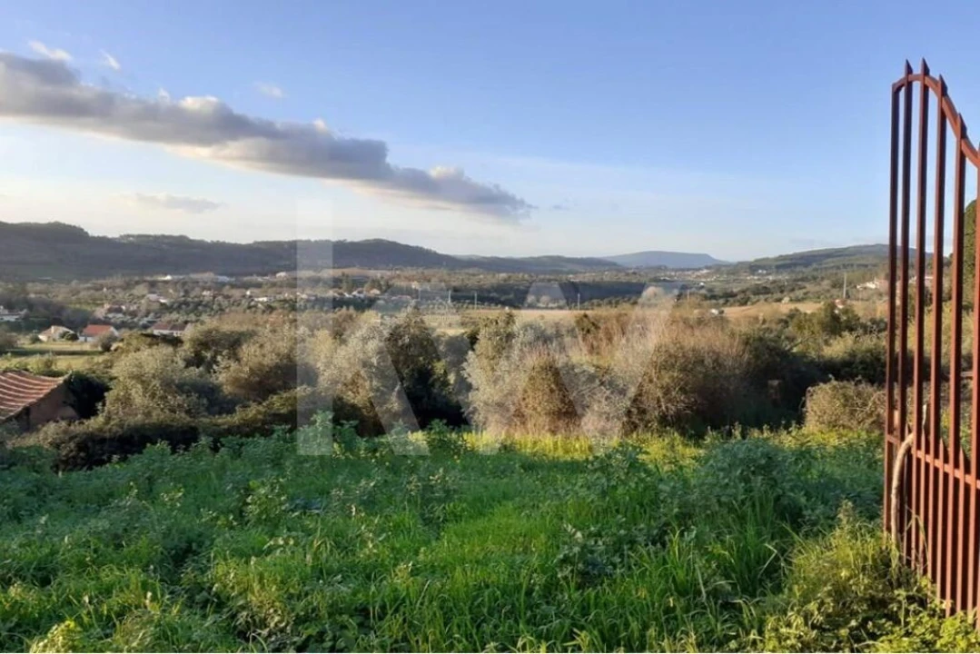 Quinta T14 para Venda em Areias e Pias Foto 36