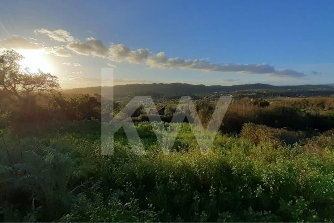 Quinta T14 para Venda em Areias e Pias Foto 37