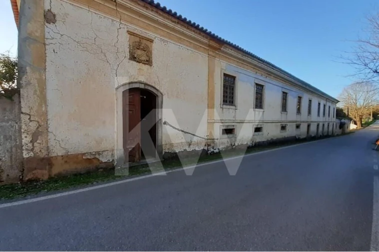 Quinta T14 para Venda em Areias e Pias Foto 4