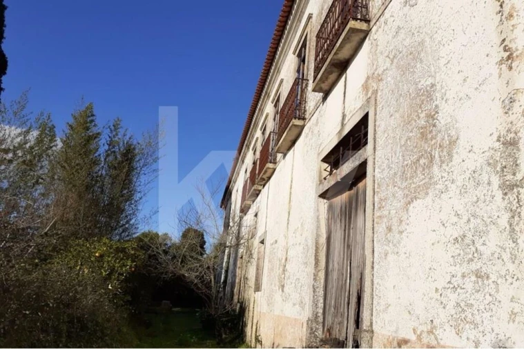 Quinta T14 para Venda em Areias e Pias Foto 30
