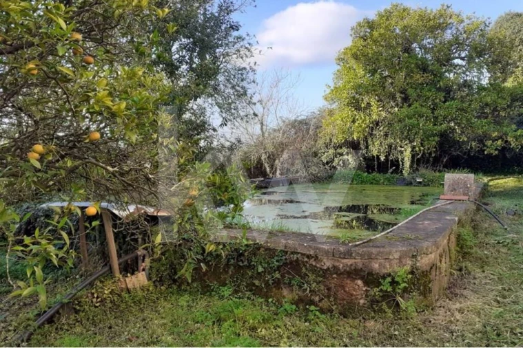 Quinta T14 para Venda em Areias e Pias Foto 31