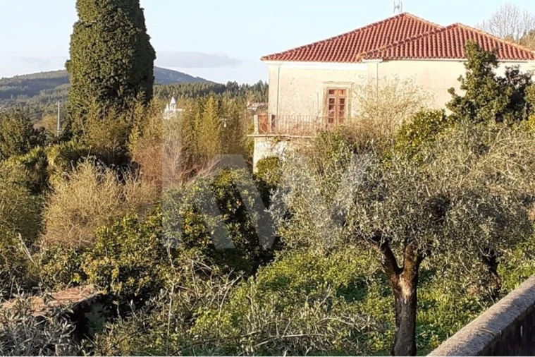 Quinta T14 para Venda em Areias e Pias Foto 35