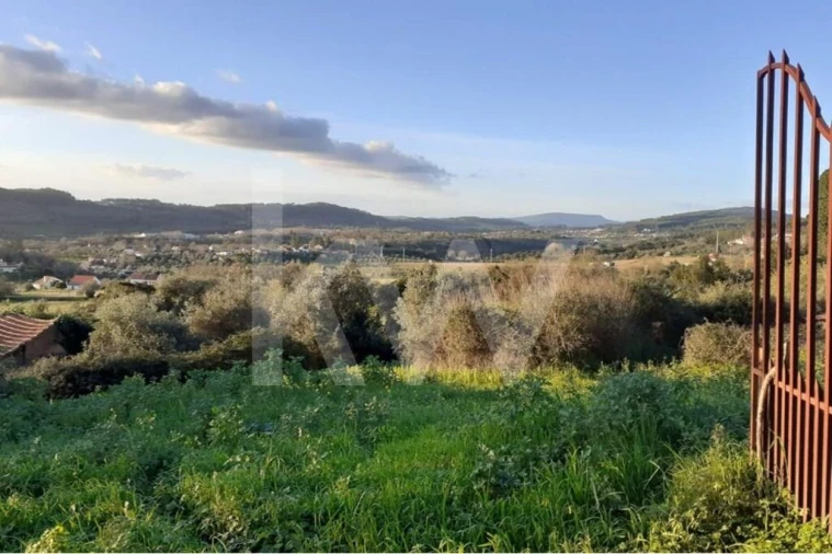 Quinta T14 para Venda em Areias e Pias Foto 36