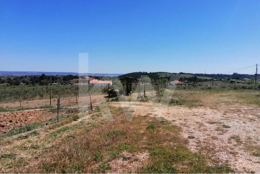 Quinta T8 para Venda em Brogueira, Parceiros de Igreja e Alcorochel Foto 15