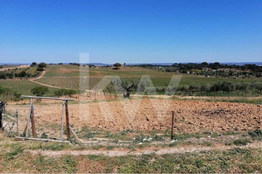 Quinta T8 para Venda em Brogueira, Parceiros de Igreja e Alcorochel Foto 24