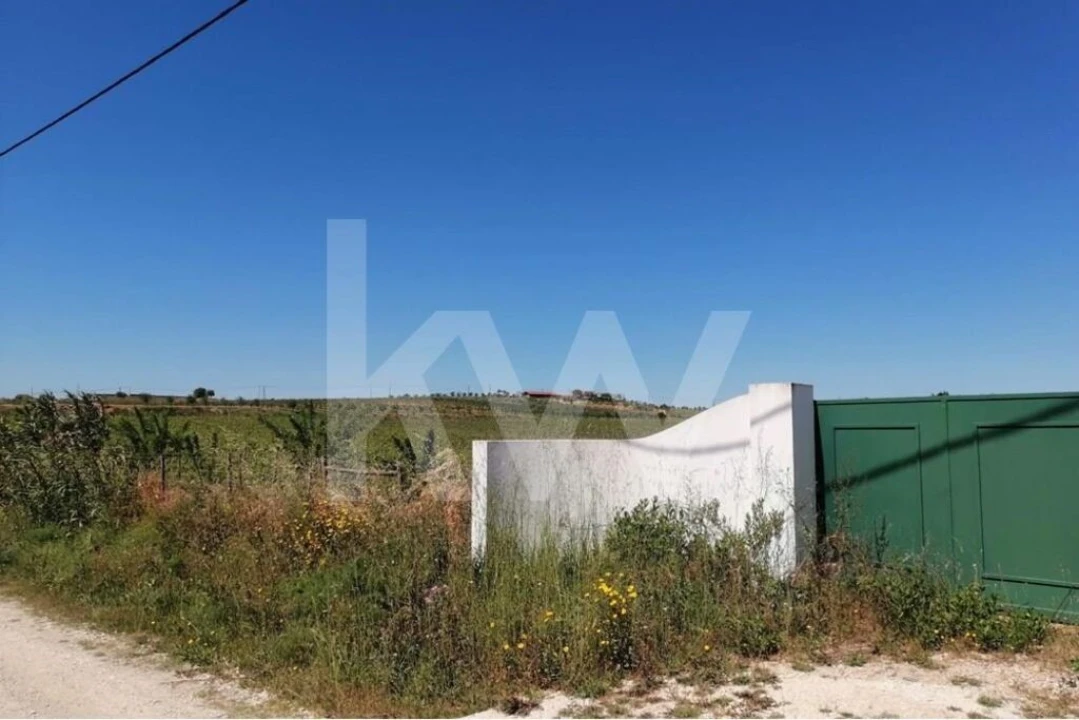 Quinta T8 para Venda em Brogueira, Parceiros de Igreja e Alcorochel Foto 25