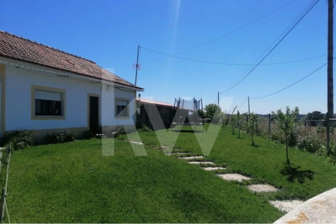 Quinta T8 para Venda em Brogueira, Parceiros de Igreja e Alcorochel Foto 5