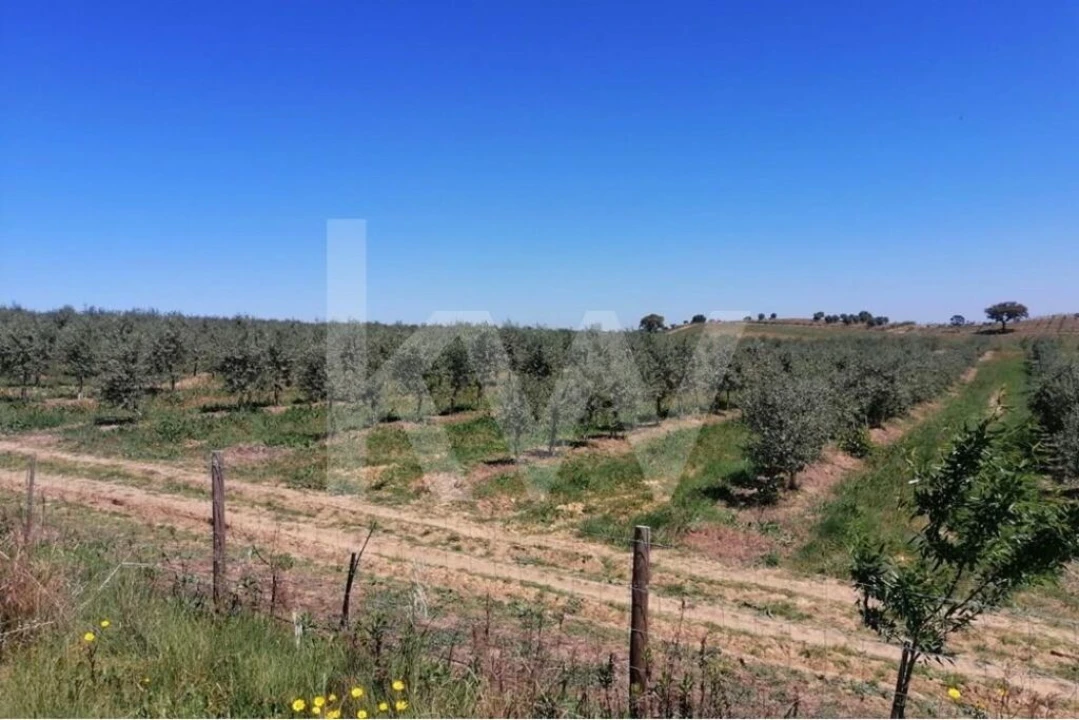 Quinta T8 para Venda em Brogueira, Parceiros de Igreja e Alcorochel Foto 18