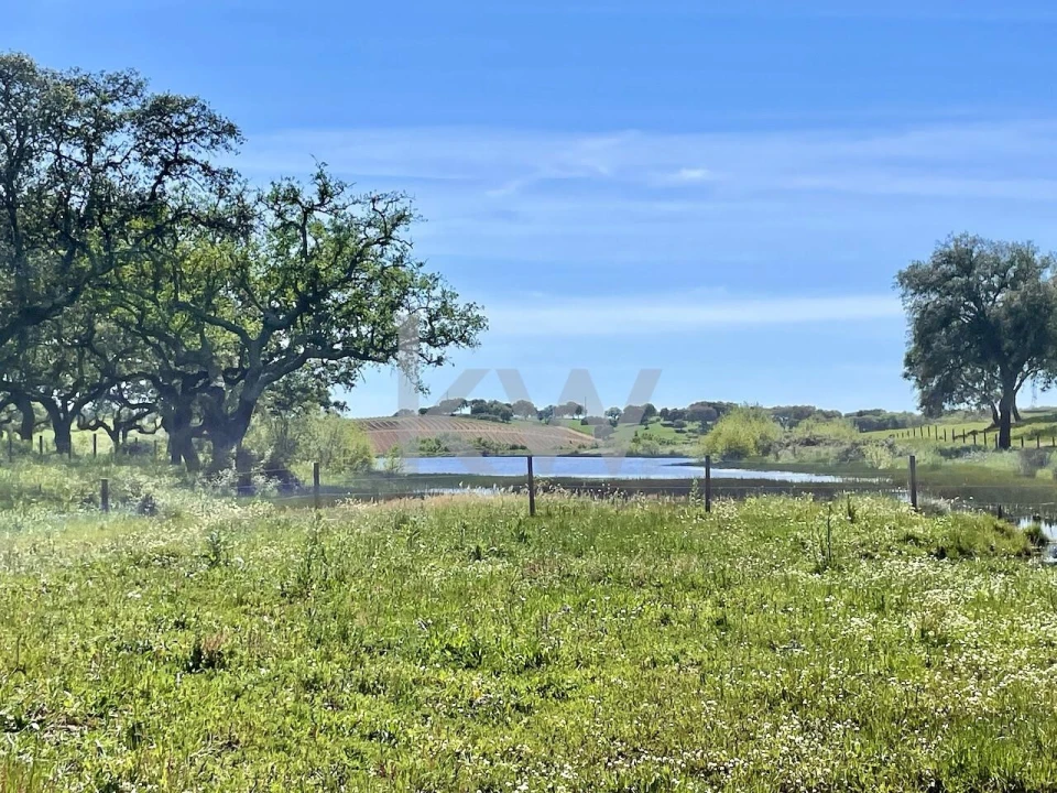 Quinta T10 para Venda em São Cristovão Foto 1