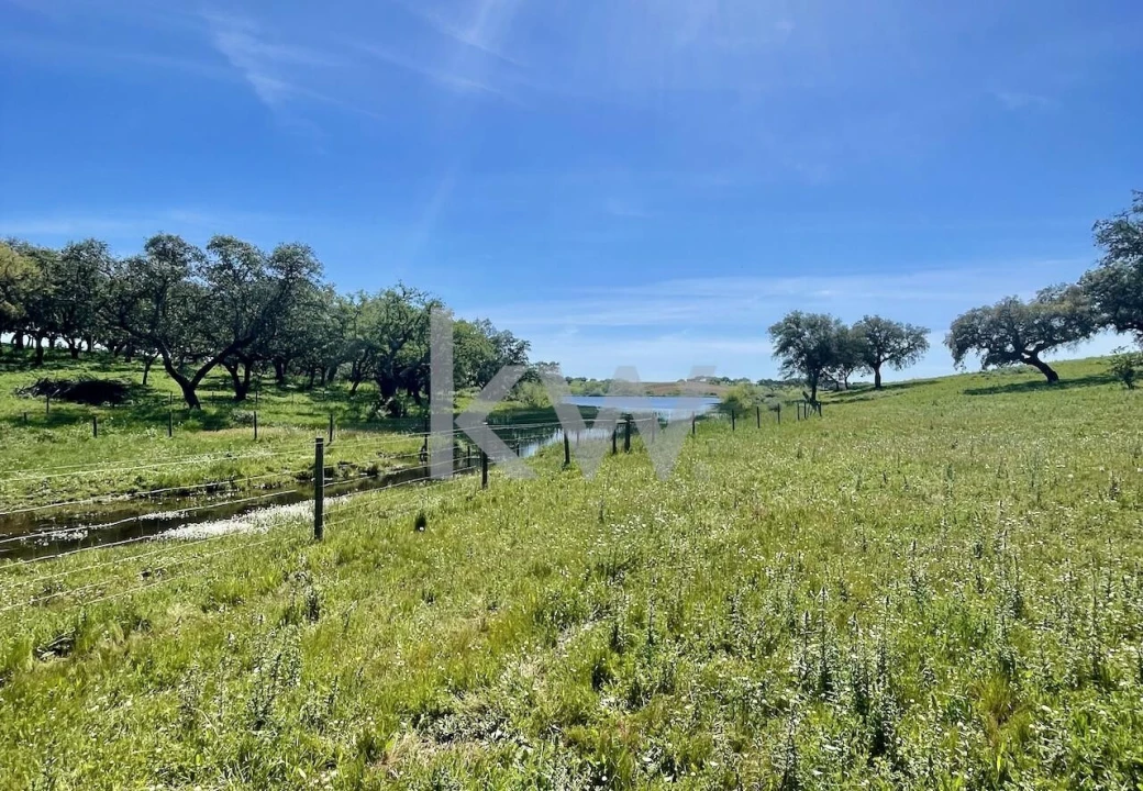 Quinta T10 para Venda em São Cristovão Foto 2