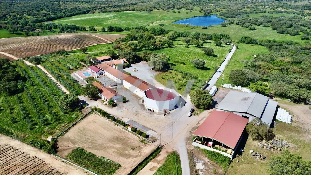 Quinta T10 para Venda em São Cristovão Foto 4