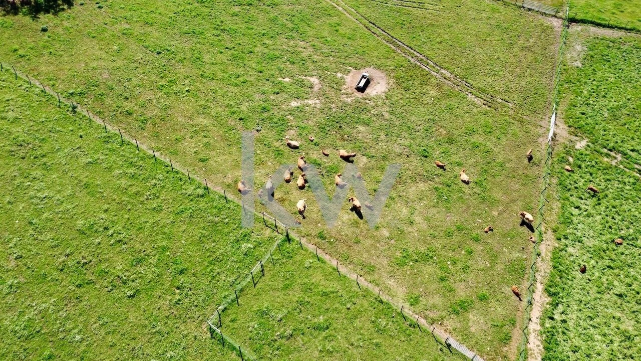 Quinta T10 para Venda em São Cristovão Foto 19