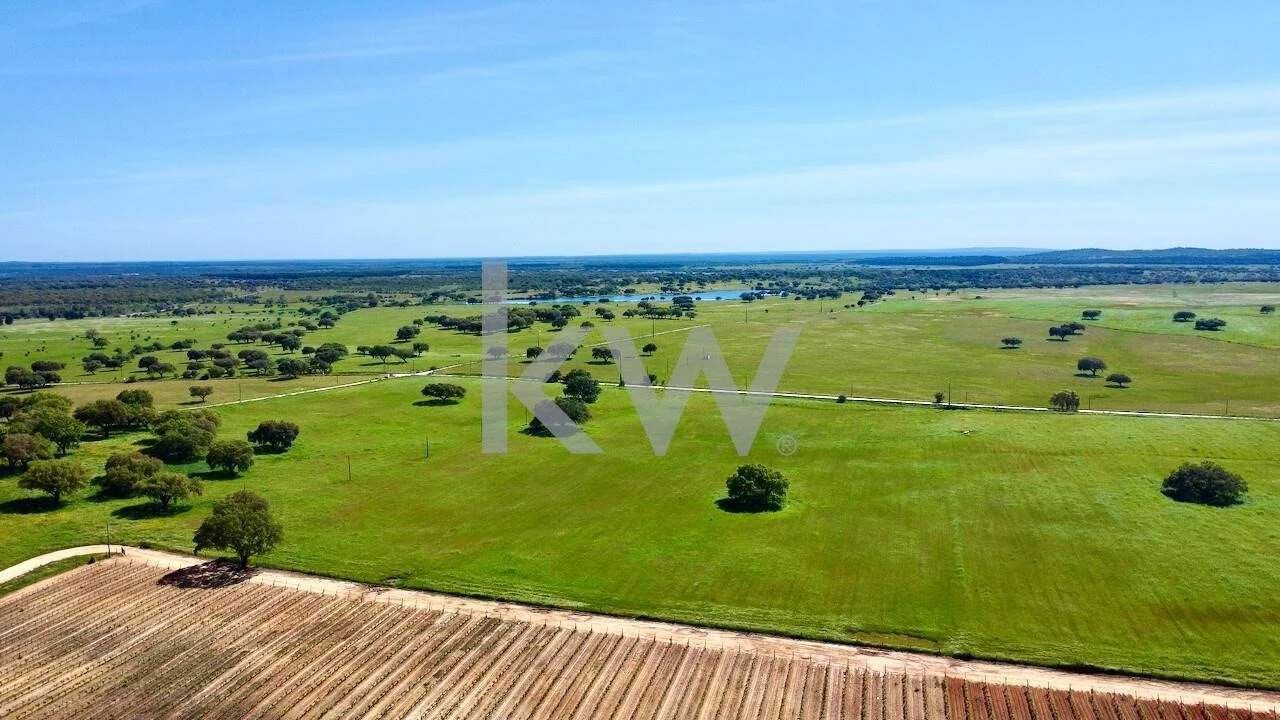 Quinta T10 para Venda em São Cristovão Foto 10