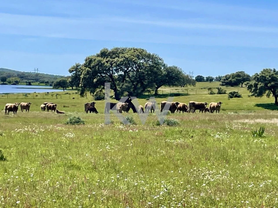 Quinta T10 para Venda em São Cristovão Foto 15